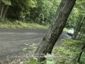 Subaru Rally Team and new WRX-STI