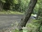 Subaru Rally Team and new WRX-STI