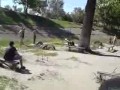 ���������� ���������������