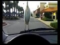 ������-��������