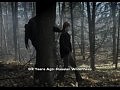 ������ / Nikita 1 ����� 12 �����