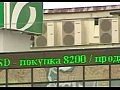 Masterforex-V: ����� �� ����� ������� ���� ������� � ��������?