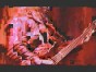 Judas Priest - Burn In Hell