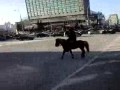 ��������� � ������ �����