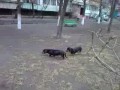 ������������ ����� :-)