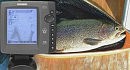 ������ HUMMINBIRD 718 fishfinder
