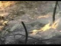 ��� ������������: ������������ ������ � ������
