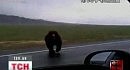 ������� ������ � ����� ��������