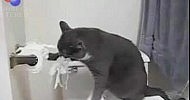 ���- �����)))