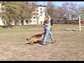 ����� �����������
