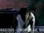 Drop Dead Gorgeous - Dressed For Friend Requests