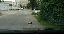 ����� ������ �� ������