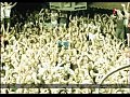 Armin van Buuren vs Sophie Ellis-Bextor - Not Giving Up On Love
