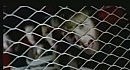 Take that - how deep is your love
