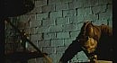 Slipknot - Sulfur