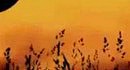 August Burns Red - Meddler