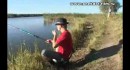 ����������� ��������� �������-1