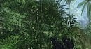 Crysis