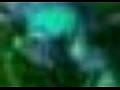 Dota - ����� ������� ����!!! ���������� ���� �������� ������������!!!