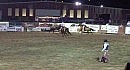 Rodeo Eagle Colorado USA 03.08.2007