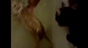 ��� - ��������� ������