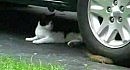 ����������� ���-�� ����� � ����� ��������...