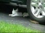 ����������� ���-�� ����� � ����� ��������...