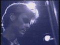 a-ha - Secamore leaves