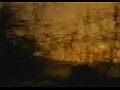 Sting - Shape of my Heart