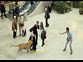 ����� ���������� �� National Geographic Channel