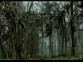 Taylor Swift - Safe and Sound (�/� �������� ����)