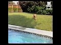 ������ ������� ������ �����