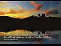 Edward Maya & Vika Jigulina - Stereo Love (Alaa's Late Night Bootleg)