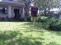 Stop Motion �� ����