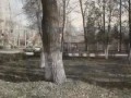 parkour-school.org.ua