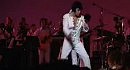 Elvis Presley (You Dont Have To Say You Love Me)