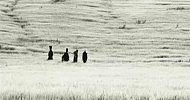 DakhaBrakha - Nad dunaem