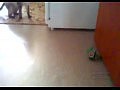 ������� ��������� �� ���������