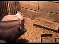 �����