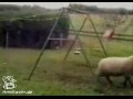 ����� � ������