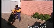 ���� � �������