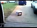 ������������ � �������������� � ��������