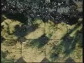About sense of our...-max kr.f.&axy e.er.+ matvieELOFgray