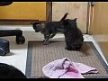 ������� ������� ����� �� ����� ���������