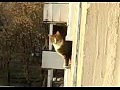 ���-��������� (SuperCat)