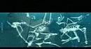 Radiohead - Pyramid Song MV