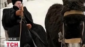 ����������� ������������� ����� ���������� �������������