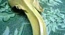 ����-���!!!