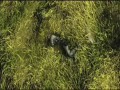 �������,����� ������ ��������