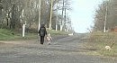 ������� ����� ������� ������� ������� ���� �������������� ���������� ��� � 1930-�� �� 80-� ���� � ����������
